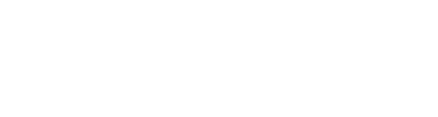 DIRECT EXPRESSE Logo
